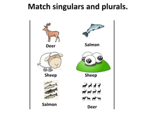 Match singulars and plurals.
Sheep
Deer Salmon
Sheep
Deer
Salmon
 