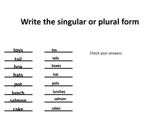 Write the singular or plural form
toys
tail
box
hats
pot
lunch
salmon
cake
Check your answers
 