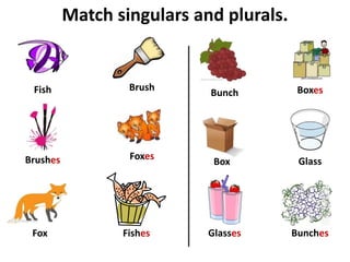 Match singulars and plurals.
Box
Brush
Fish Boxes
Brushes
Fishes
Foxes
Fox
Bunch
Bunches
Glasses
Glass
 