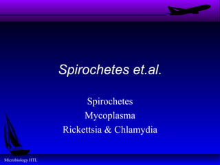 Spirochetes et.al.

                         Spirochetes
                        Mycoplasma
                   Rickettsia & Chlamydia

Microbiology HTL
 