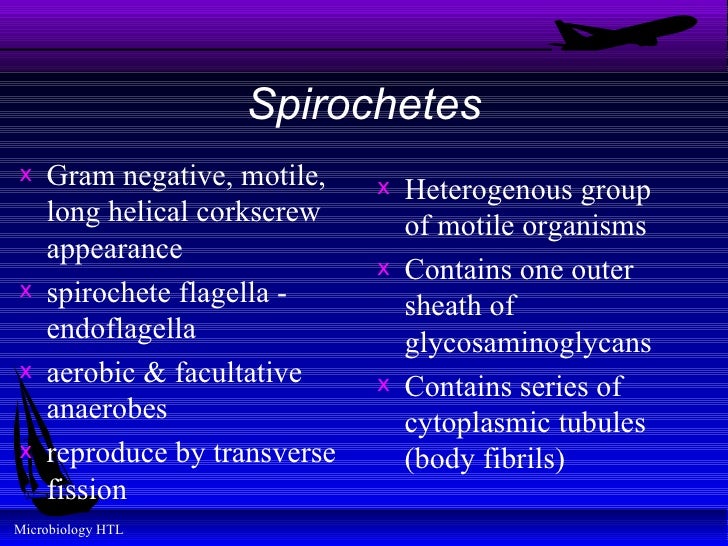 Module 8A Spirochetes Module 8A Spirochetes
