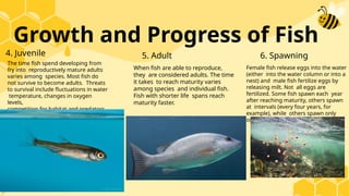 Q2G6 TLE-AGRI ANIMAL AND FISH RAISING FOR LIVELIHOOD.pptx