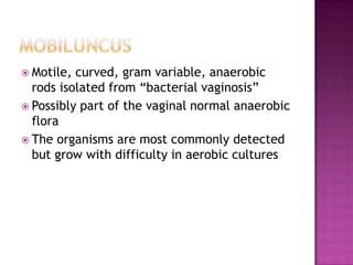 Motile Rods Module 8b unusual bacterial pathogens | PPTX