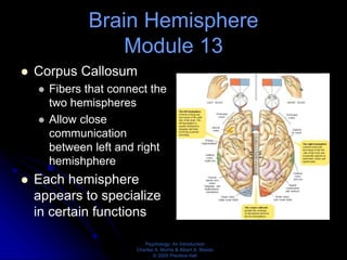 Hemisphere Module Module 9-15 Power point (2).ppt