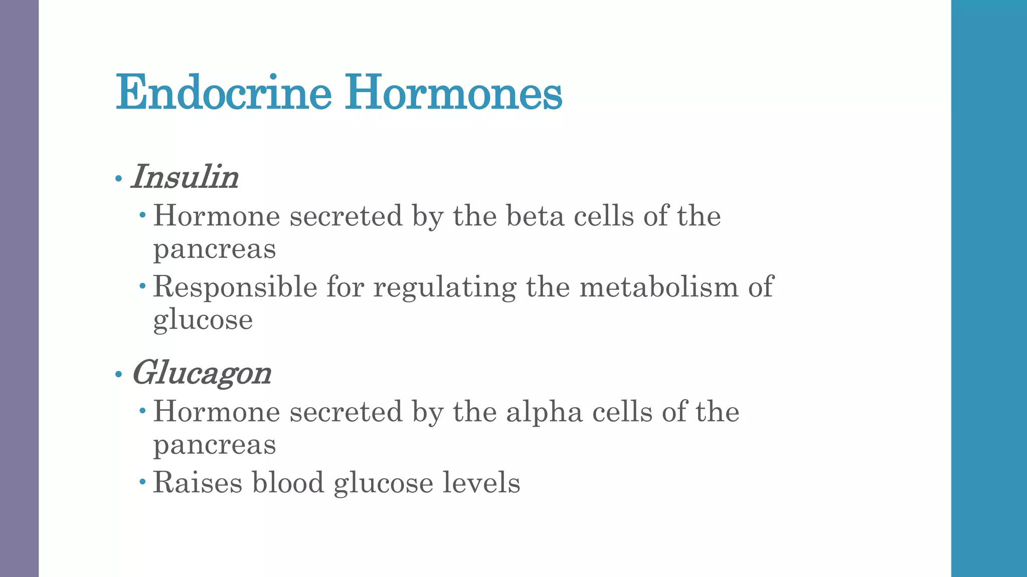 Endocrine Hormones
• Insulin
 Hormone secreted by the beta cells of the
pancreas
 Responsible for regulating the metabolism of
glucose
• Glucagon
 Hormone secreted by the alpha cells of the
pancreas
 Raises blood glucose levels
 