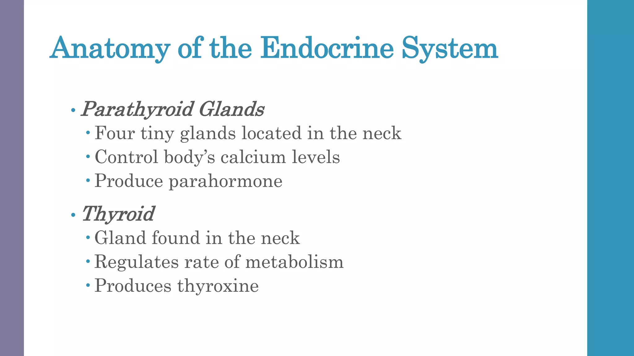 Anatomy of the Endocrine System
• Parathyroid Glands
 Four tiny glands located in the neck
 Control body’s calcium levels
 Produce parahormone
• Thyroid
 Gland found in the neck
 Regulates rate of metabolism
 Produces thyroxine
 