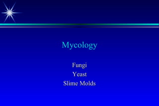 Mycology

   Fungi
   Yeast
Slime Molds
 