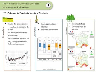 • Incendiesde forêts
• Développement des
maladies
• Hausse des températures :
→ accélère la croissance des
plantes
→ diminuela période de
vernalisation
• Concentration croissante en
CO2 →augmentation de
l’effet anti-transpirant
A. Le cas de l’agriculture et de la foresterie
Présentation des principaux impacts
du changement climatique
I
L’agriculture
Lescultures
• Développement des
pâturages
• Baisse des rendements
Incidence sur le rendement (%)de variationpar décennie1
Lesforêts
Source: 5è rapportduGIECSource: climatorealiste
 