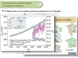 Hydrologie
-Évolutiondesprécipitations
→disparitéN/S
-Augmentationdes
extrêmes
-Variationsrégionales
Sourcegraphique:
Pavillon orange
Dynamiquesdesécosystèmes
-Immigration+reproductionVSémigration
+mortalité
-Sourcesdemodification:facteurs
intrinsèques/extrinsèques
Sourcegraphique: archives-ouvertes
Dynamiquesdesécosystèmes
-Immigration+reproductionVSémigration
+mortalité
-Sourcesdemodification:facteurs
intrinsèques/extrinsèques
Sourcegraphique: archives-ouvertes
Hydrologie
-Évolutiondesprécipitations
→disparitéN/S
-Augmentationdes
extrêmes
-Variationsrégionales
Sourcegraphique:
Pavillon orange
Acidificationdes
océans
-AugmentationduCO2
→diminutiondupH→
acidification
-Conséquences
paradoxales
-Servicesécosystémiques
impactés
Sourcegraphique:
futura-sciences
Acidificationdes
océans
-AugmentationduCO2
→diminutiondupH→
acidification
-Conséquences
paradoxales
-Servicesécosystémiques
impactés
Sourcegraphique:
futura-sciences
Présentation des principaux impacts
du changement climatique
I
B. Répercussion sur les systèmes terrestres, aquatiques et sur l’hydrologie
 