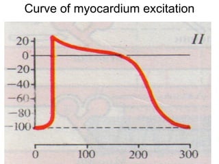 Curve of myocardium excitation
• Amplitude of myocardium resting
membrane potential is -80 - -90 mV
• Amplitude of myocardium resting
membrane potential is -80 - -90 mV
• Amplitude of myocardium resting
membrane potential is -80 - -90 mV
 