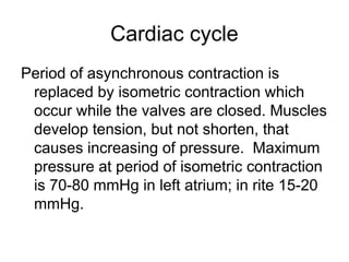 Cardiac cycle
Period of asynchronous contraction is
replaced by isometric contraction which
occur while the valves are closed. Muscles
develop tension, but not shorten, that
causes increasing of pressure. Maximum
pressure at period of isometric contraction
is 70-80 mmHg in left atrium; in rite 15-20
mmHg.
 