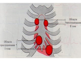 Cardiovascular systemModulecardiacvascularLec.1.ppt