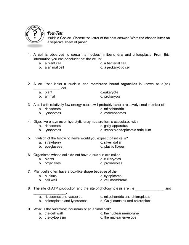 Module cell structure and function