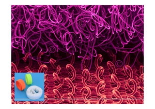 Tous droits réservés Dr. Sabri MOURAD
 