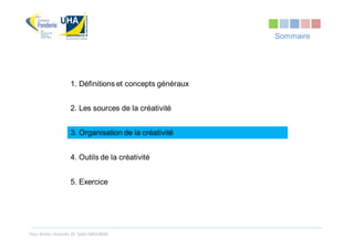 Sommaire




                   1. Définitions et concepts généraux


                   2. Les sources de la créativité


                   3. Organisation de la créativité


                   4. Outils de la créativité


                   5. Exercice




Tous droits réservés Dr. Sabri MOURAD
 