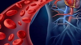Comprehensive Overview of General Hematology: Blood Components ...