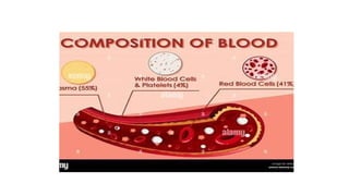 Comprehensive Overview of General Hematology: Blood Components ...