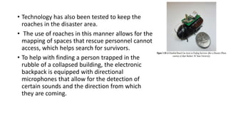 • Technology has also been tested to keep the
roaches in the disaster area.
• The use of roaches in this manner allows for the
mapping of spaces that rescue personnel cannot
access, which helps search for survivors.
• To help with finding a person trapped in the
rubble of a collapsed building, the electronic
backpack is equipped with directional
microphones that allow for the detection of
certain sounds and the direction from which
they are coming.
 