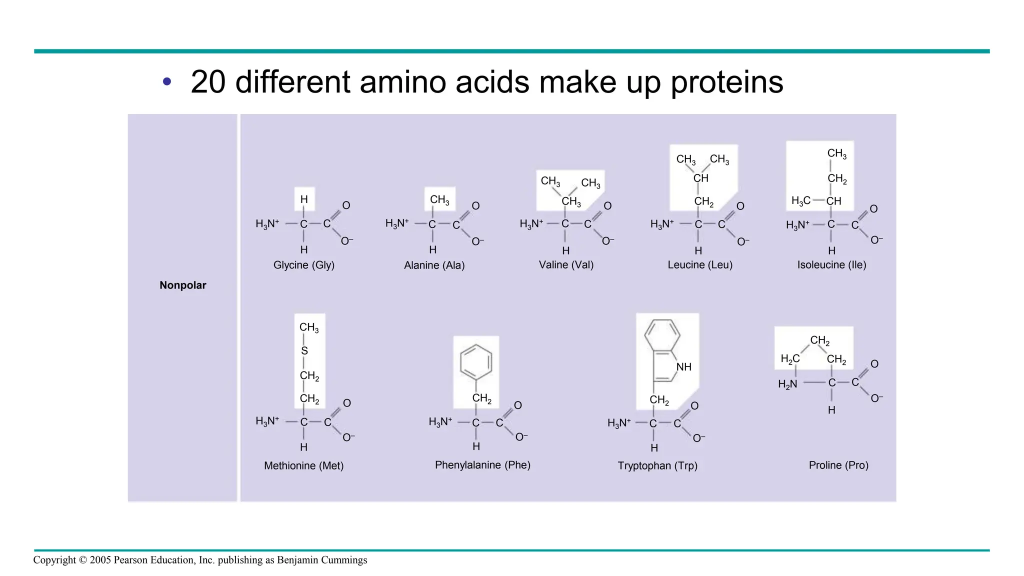 Module I_6_Structure and Function of Macromolecules.ppt