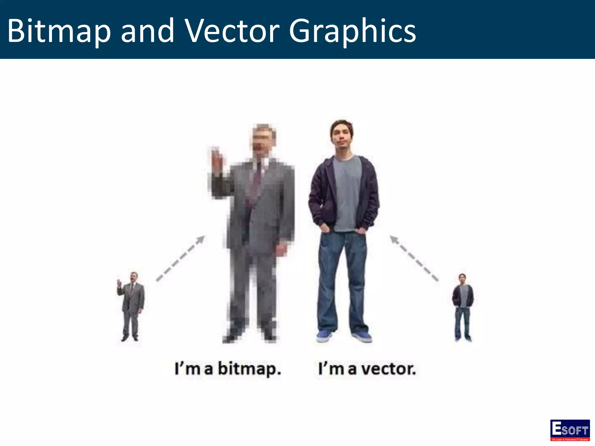 Bitmap and Vector Graphics
 
