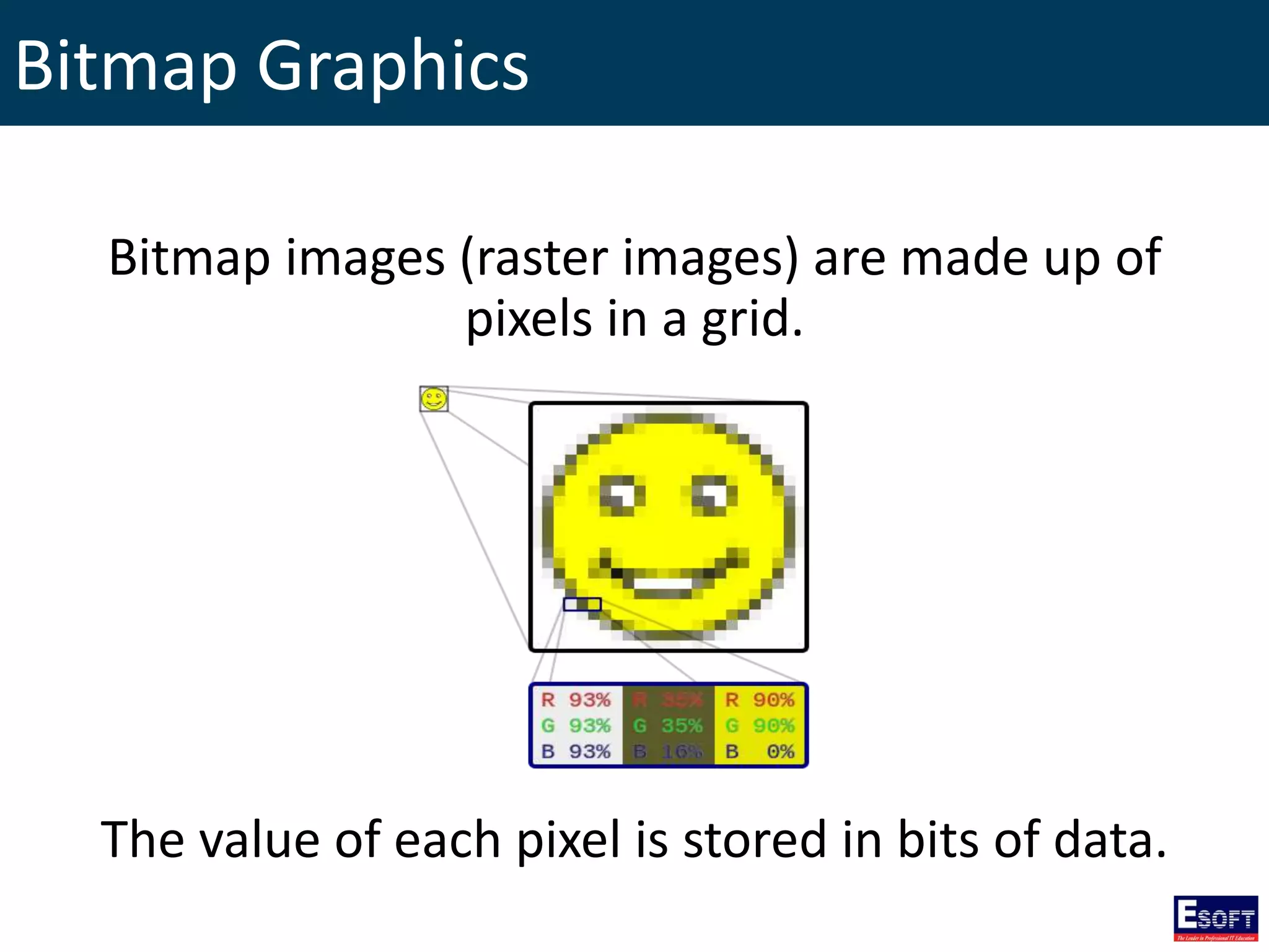 Bitmap Graphics
Bitmap images (raster images) are made up of
pixels in a grid.
The value of each pixel is stored in bits of data.
 