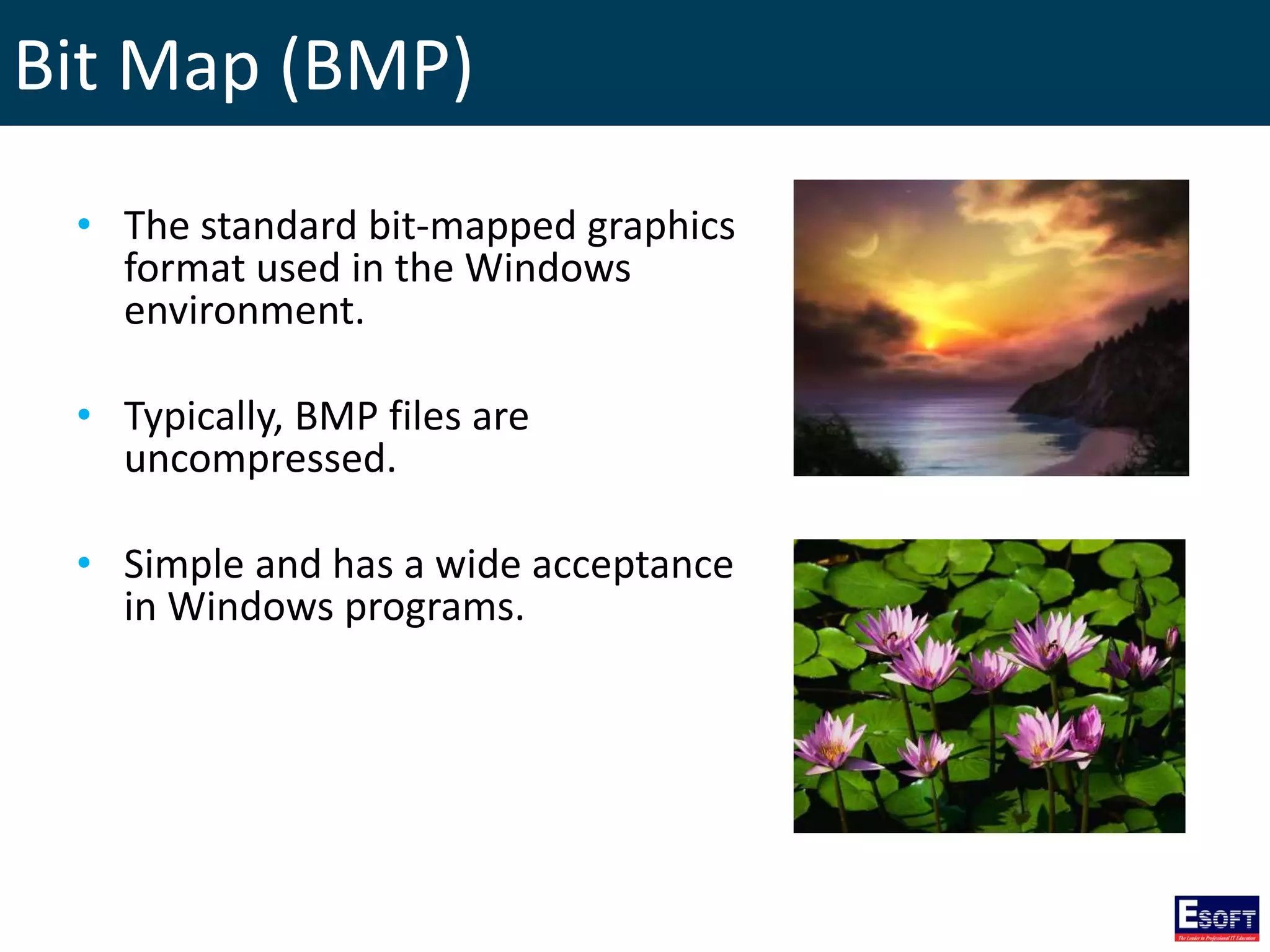 Bit Map (BMP)
• The standard bit-mapped graphics
format used in the Windows
environment.
• Typically, BMP files are
uncompressed.
• Simple and has a wide acceptance
in Windows programs.
 