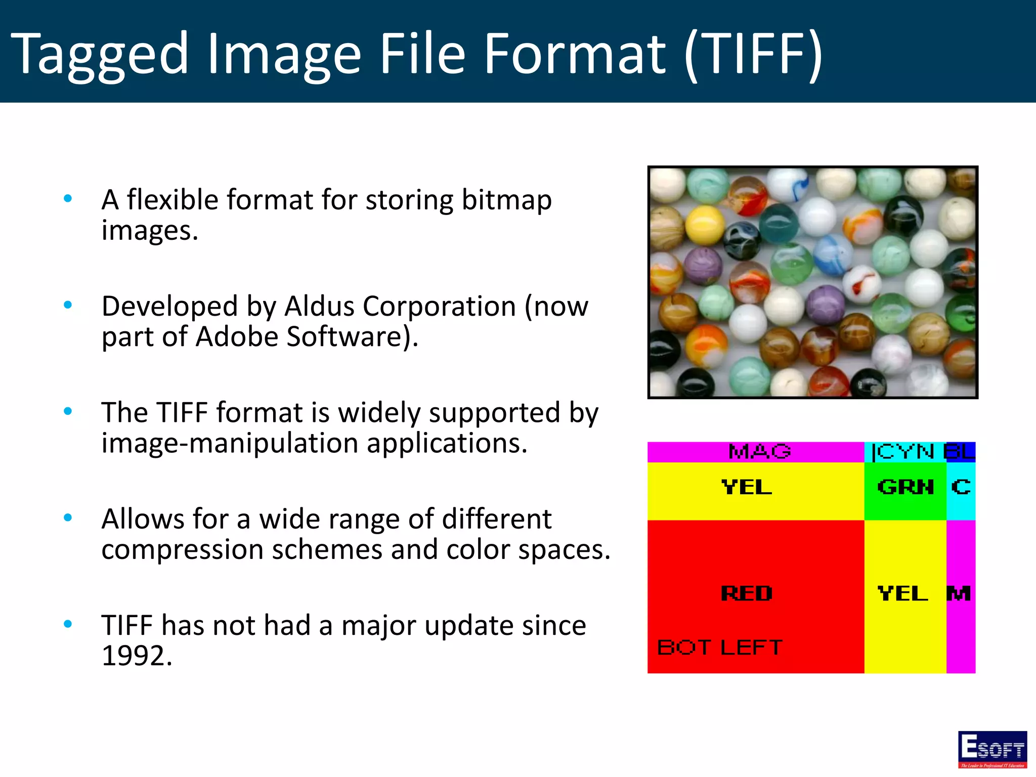 Tagged Image File Format (TIFF)
• A flexible format for storing bitmap
images.
• Developed by Aldus Corporation (now
part of Adobe Software).
• The TIFF format is widely supported by
image-manipulation applications.
• Allows for a wide range of different
compression schemes and color spaces.
• TIFF has not had a major update since
1992.
 
