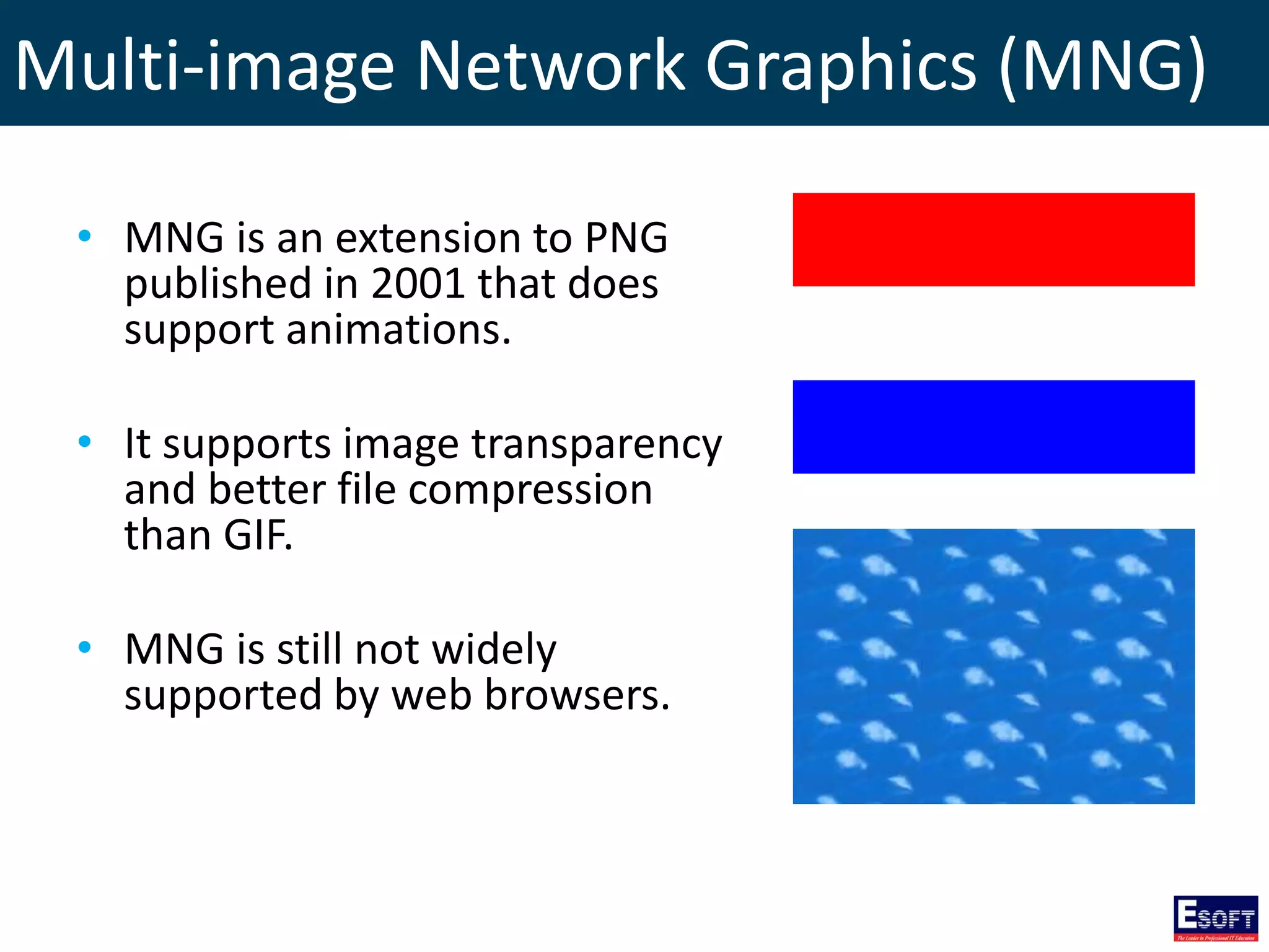 Multi-image Network Graphics (MNG)
• MNG is an extension to PNG
published in 2001 that does
support animations.
• It supports image transparency
and better file compression
than GIF.
• MNG is still not widely
supported by web browsers.
 
