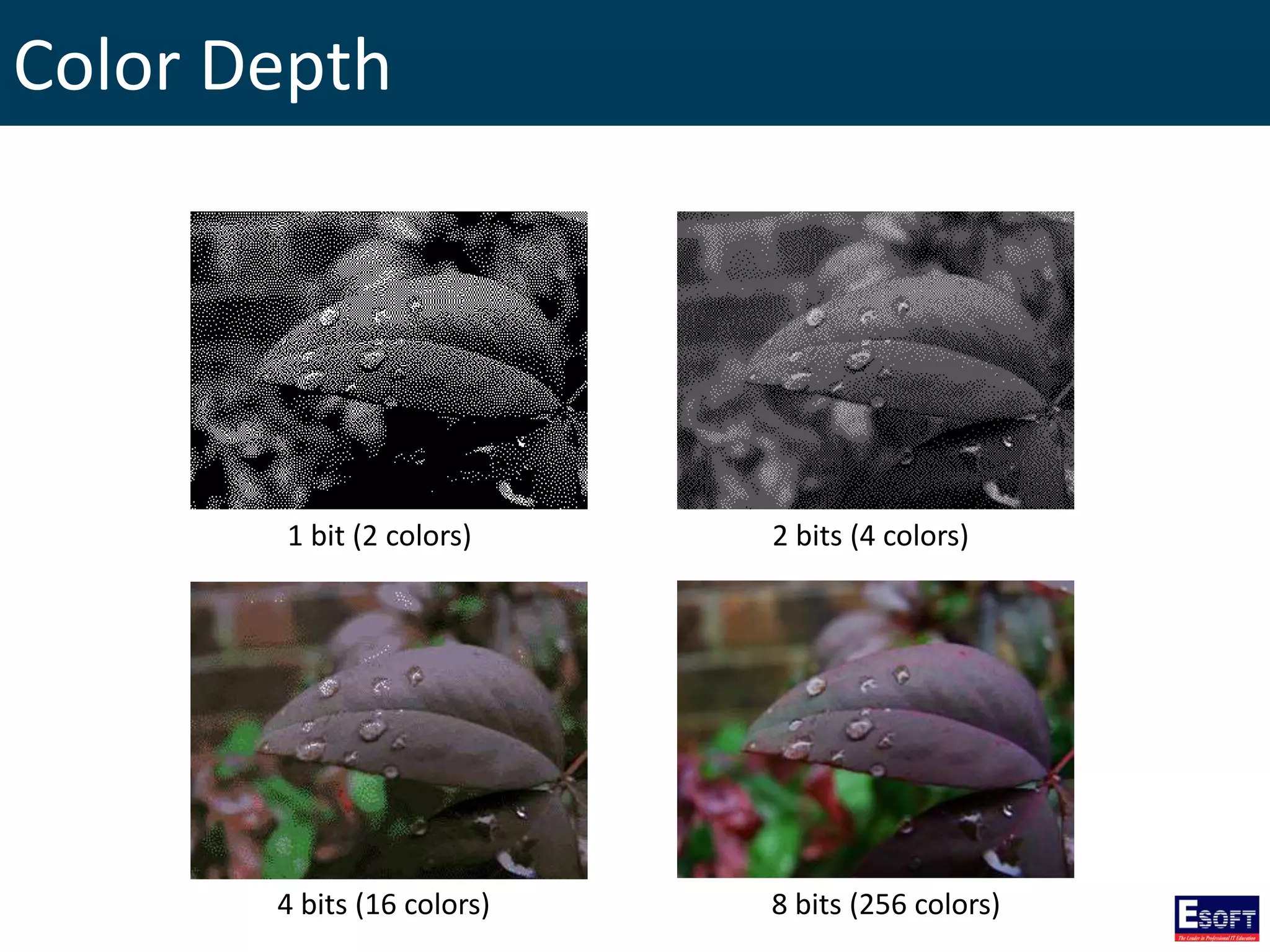 Color Depth
1 bit (2 colors) 2 bits (4 colors)
4 bits (16 colors) 8 bits (256 colors)
 