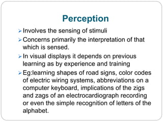Process of seeing | Visual Capability| Workstation Design | Workplace ...