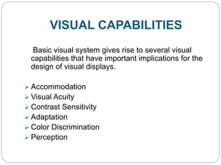 Process of seeing | Visual Capability| Workstation Design | Workplace ...