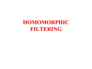 HOMOMORPHIC
FILTERING
 