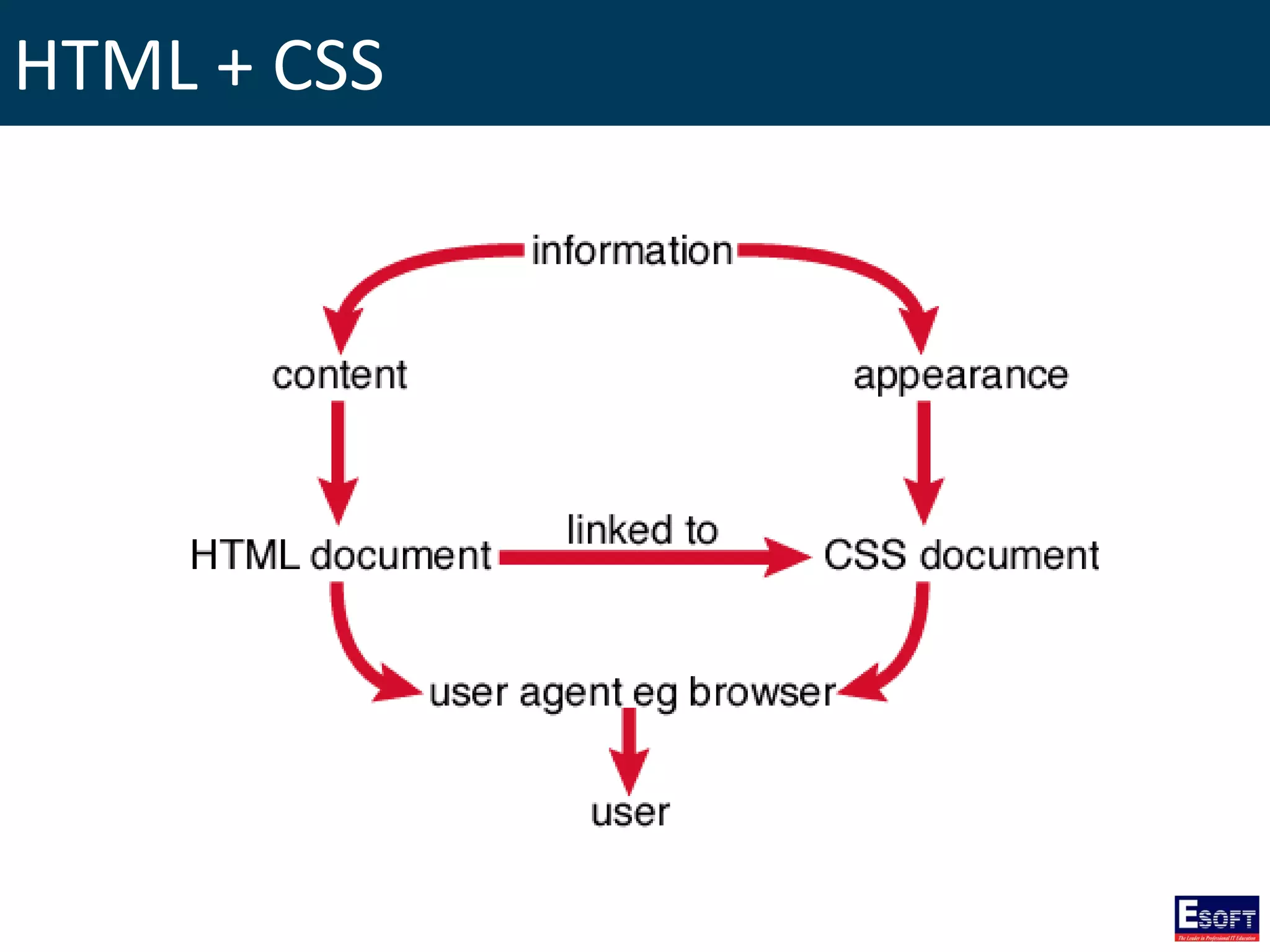 HTML + CSS
 