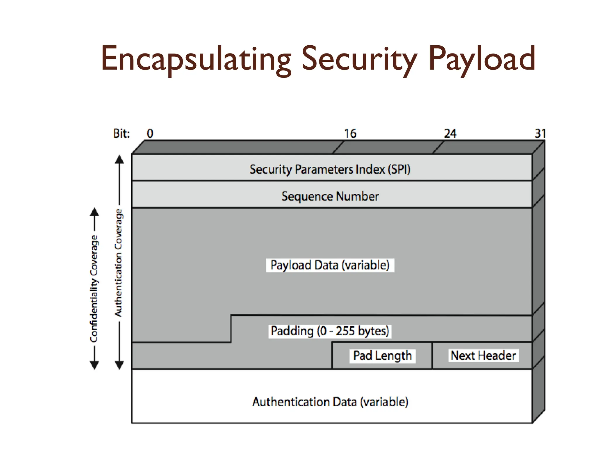 Encapsulating Security Payload
 