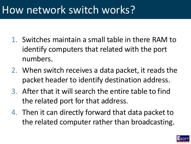 network layer topology switch 2 Networking Fundamentals in  DITEC