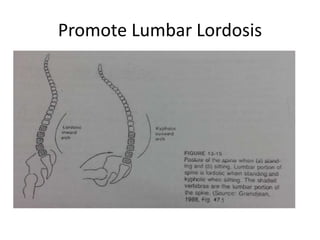 Promote Lumbar Lordosis
 