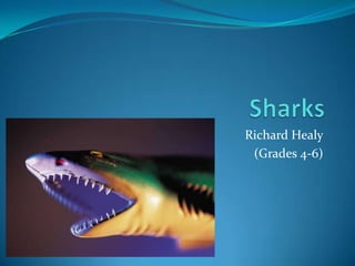 Richard Healy
 (Grades 4-6)
 