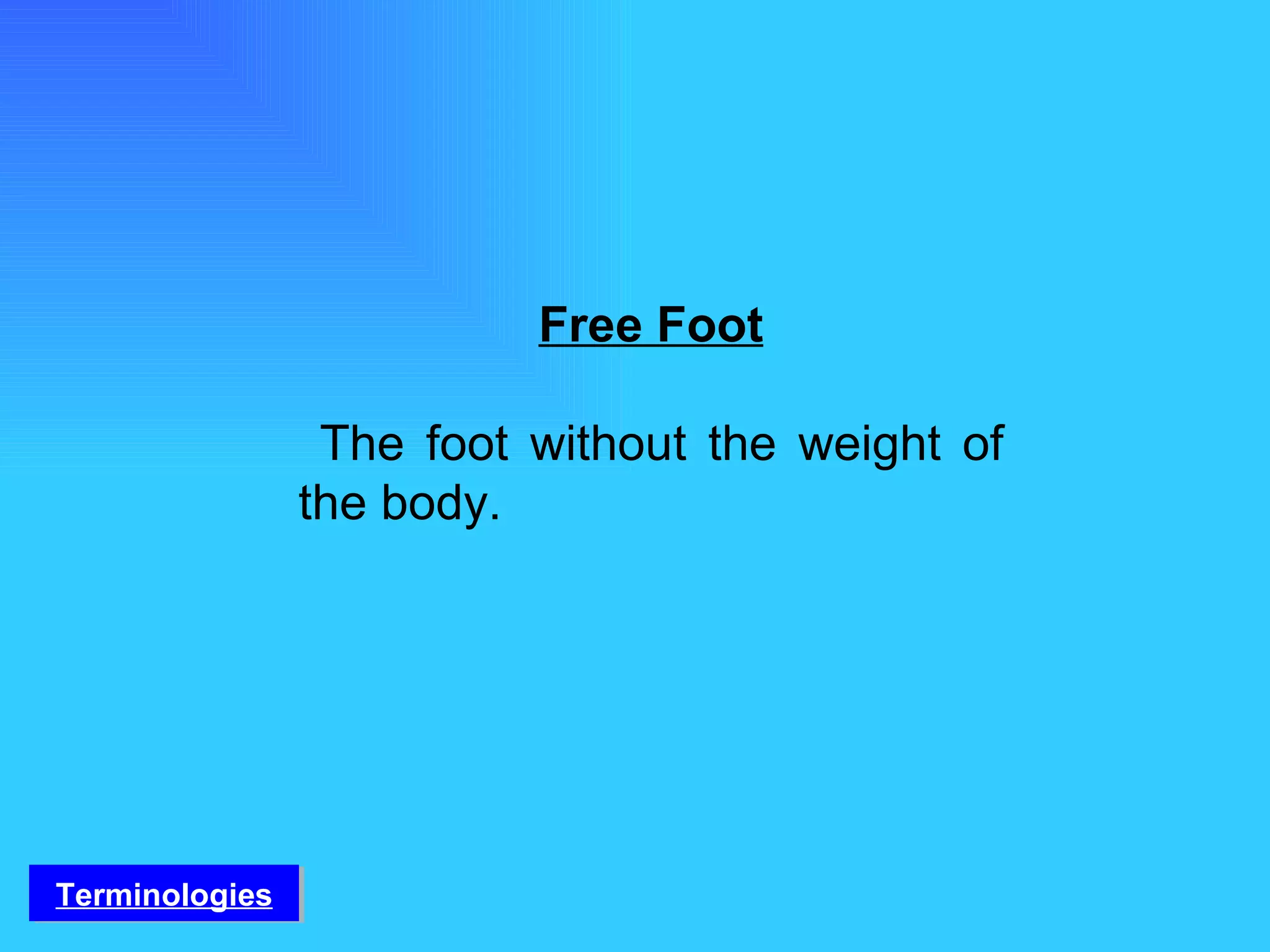 Free Foot The foot without the weight of the body. Terminologies 