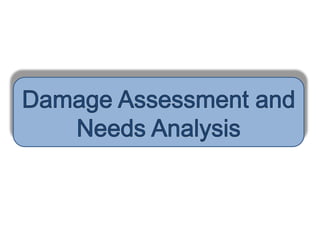 Rapid Damage and Needs Analysis on DRR Management | PDF
