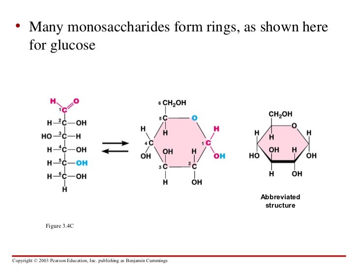 carbohydrates-proteins-lipids-and-nucleic-acids