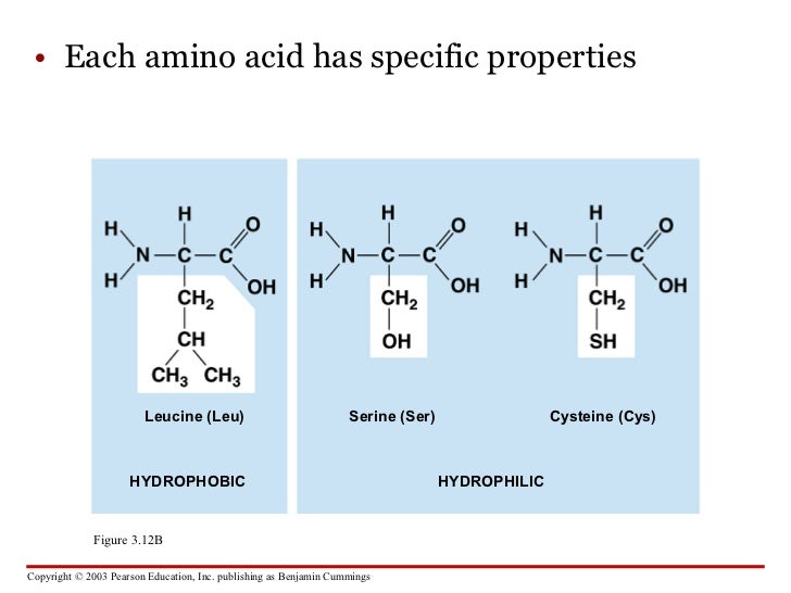 Compare And Contrast The Chemical Structure Of Carbohydrates Lipids
