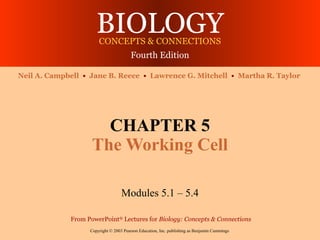 BIOLOGY
                       CONCEPTS & CONNECTIONS
                                        Fourth Edition

Neil A. Campbell • Jane B. Reece • Lawrence G. Mitchell • Martha R. Taylor




                      CHAPTER 5
                    The Working Cell

                                   Modules 5.1 – 5.4

             From PowerPoint® Lectures for Biology: Concepts & Connections
                   Copyright © 2003 Pearson Education, Inc. publishing as Benjamin Cummings
 