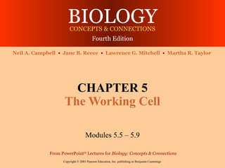 BIOLOGY
                       CONCEPTS & CONNECTIONS
                                        Fourth Edition

Neil A. Campbell • Jane B. Reece • Lawrence G. Mitchell • Martha R. Taylor




                      CHAPTER 5
                    The Working Cell

                                   Modules 5.5 – 5.9

             From PowerPoint® Lectures for Biology: Concepts & Connections
                   Copyright © 2003 Pearson Education, Inc. publishing as Benjamin Cummings
 