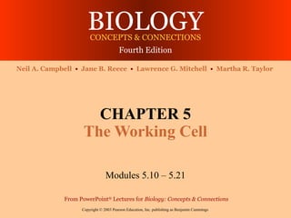 BIOLOGY
                       CONCEPTS & CONNECTIONS
                                        Fourth Edition

Neil A. Campbell • Jane B. Reece • Lawrence G. Mitchell • Martha R. Taylor




                      CHAPTER 5
                    The Working Cell

                                Modules 5.10 – 5.21

             From PowerPoint® Lectures for Biology: Concepts & Connections
                   Copyright © 2003 Pearson Education, Inc. publishing as Benjamin Cummings
 