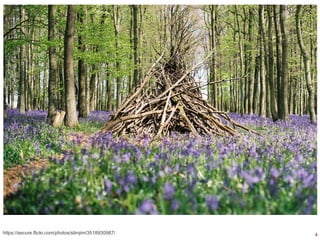 4https://secure.flickr.com/photos/slimjim/3518930987/
 