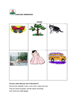LANGUAGE AWARENESS
NOUNS
Can you name what you see in the picture?
We can see a butterfly, a tree, a cat, a river, a lady and a bus.
They are names of people, animals, places and things.
Such words are called nouns.
 