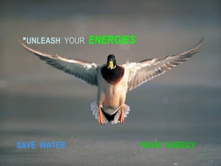 UNLEASH YOUR ENERGIES
SAVE WATER SAVE ENERGY
 