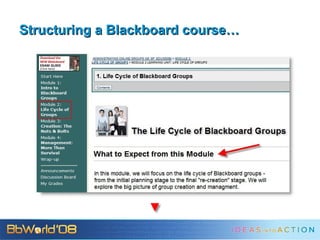 Structuring a Blackboard course… 