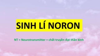 SINH LÍ NORON
NT = Neurotransmitter = chất truyền đạt thần kinh
 