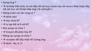 • Synap là gì ?
•  là khớp thần kinh, là nơi tiếp nối sợi trục noron này với nororn khác hoặc tiếp
nối sợi trục với tế bào đáp ứng ( tb cơ/tuyến )
• Màng trước cúc tận cùng có ?
•  kênh calci
•  bọc chứa NT
•  ty lạp thể và R với NT
• Khe synap có chứa ?
•  Enzyzm để phân hủy NT
• Màng sau synap có chứa ?
•  receptor để tiếp nhận NT tương ứng
•  kênh : Na, K, Cl
 
